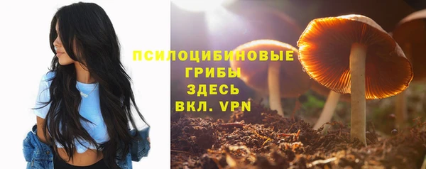 марки nbome Алексеевка