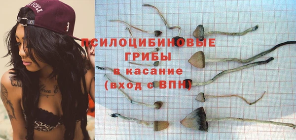 меф Алексин
